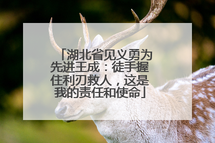 湖北省见义勇为先进王成：徒手握住利刃救人，这是我的责任和使命
