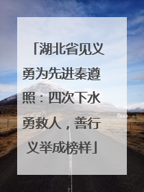 湖北省见义勇为先进秦遵照：四次下水勇救人，善行义举成榜样