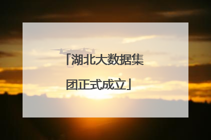 湖北大数据集团正式成立