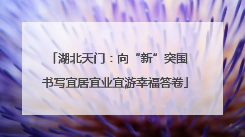 湖北天门：向“新”突围 书写宜居宜业宜游幸福答卷