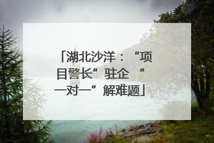 湖北沙洋：“项目警长”驻企 “一对一”解难题