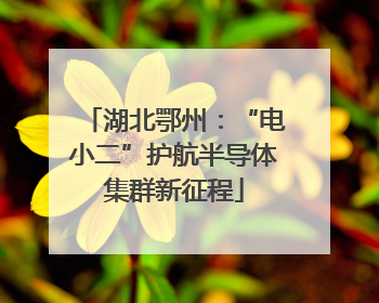 湖北鄂州：“电小二”护航半导体集群新征程