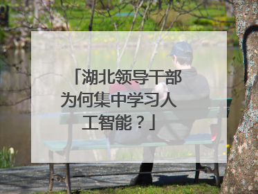 湖北领导干部为何集中学习人工智能？