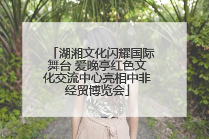 湖湘文化闪耀国际舞台 爱晚亭红色文化交流中心亮相中非经贸博览会