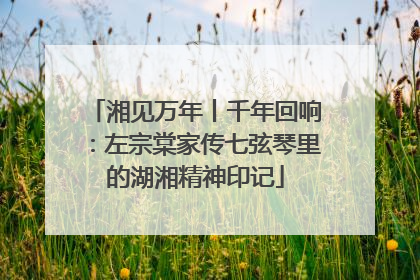 湘见万年丨千年回响：左宗棠家传七弦琴里的湖湘精神印记
