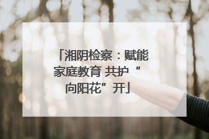 湘阴检察：赋能家庭教育 共护“向阳花”开