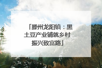 滕州龙阳镇：黑土豆产业铺就乡村振兴致富路
