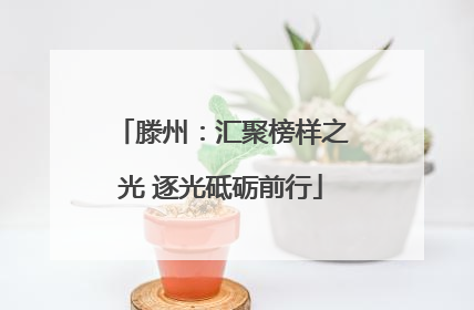 滕州：汇聚榜样之光 逐光砥砺前行