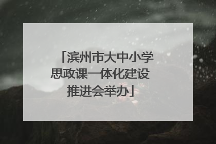 滨州市大中小学思政课一体化建设推进会举办