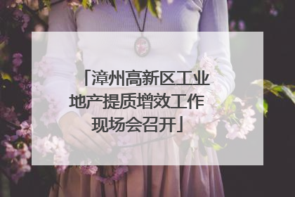 漳州高新区工业地产提质增效工作现场会召开