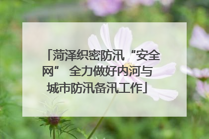 菏泽织密防汛“安全网” 全力做好内河与城市防汛备汛工作