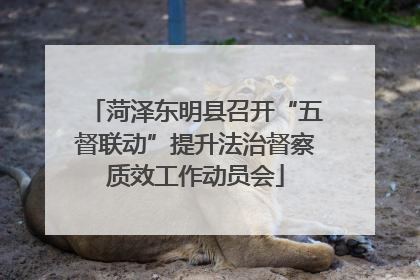 菏泽东明县召开“五督联动”提升法治督察质效工作动员会