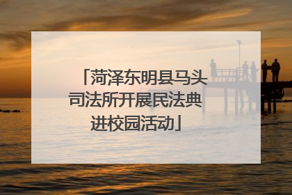 菏泽东明县马头司法所开展民法典进校园活动