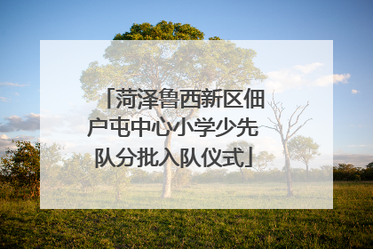 菏泽鲁西新区佃户屯中心小学少先队分批入队仪式