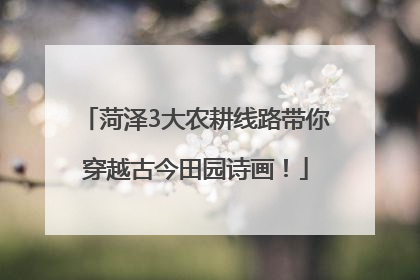 菏泽3大农耕线路带你穿越古今田园诗画！