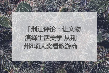 荆江评论：让文物演绎生活美学 从荆州8项大奖看旅游商品3.0时代