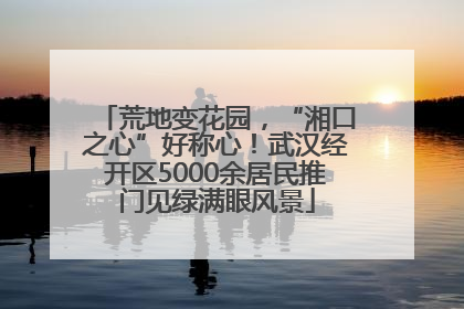 荒地变花园，“湘口之心”好称心！武汉经开区5000余居民推门见绿满眼风景