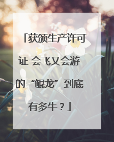 获颁生产许可证 会飞又会游的“鲲龙”到底有多牛？