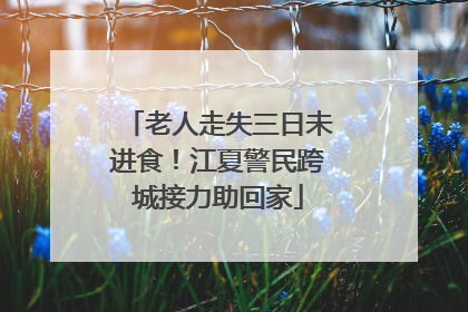 老人走失三日未进食！江夏警民跨城接力助回家