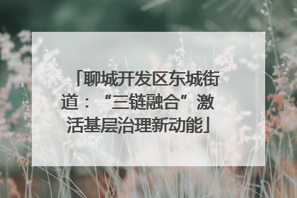 聊城开发区东城街道：“三链融合”激活基层治理新动能