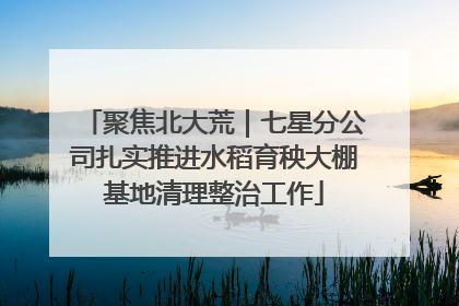聚焦北大荒｜七星分公司扎实推进水稻育秧大棚基地清理整治工作