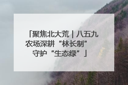 聚焦北大荒｜八五九农场深耕“林长制” 守护“生态绿”