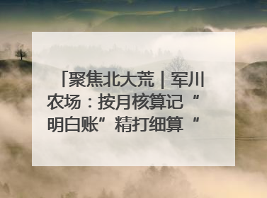 聚焦北大荒｜军川农场：按月核算记“明白账”精打细算“过紧日子”