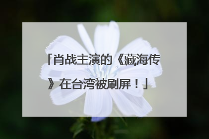 肖战主演的《藏海传》在台湾被刷屏!