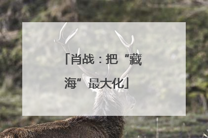 肖战：把“藏海”最大化