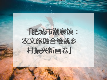 肥城市潮泉镇：农文旅融合绘就乡村振兴新画卷