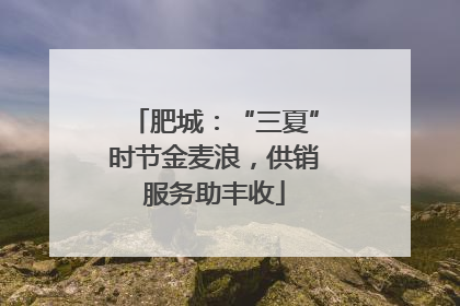 肥城：“三夏”时节金麦浪，供销服务助丰收