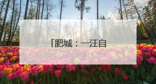 肥城：一汪自泉水的逆袭