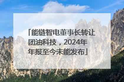 能链智电董事长转让团油科技，2024年年报至今未能发布
