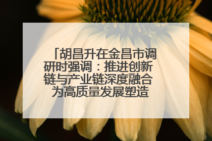 胡昌升在金昌市调研时强调：推进创新链与产业链深度融合 为高质量发展塑造新动能新优势
