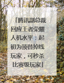 腾讯副总裁回应王者荣耀人机水平：起初为顶替掉线玩家，可秒杀比赛级玩家