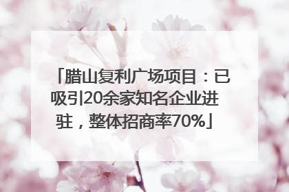 腊山复利广场项目：已吸引20余家知名企业进驻，整体招商率70%