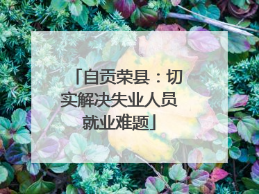 自贡荣县：切实解决失业人员就业难题