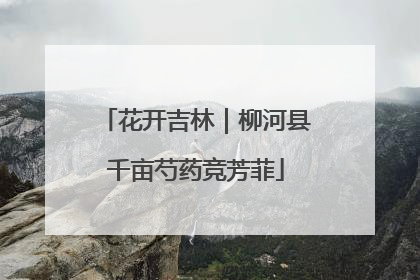 花开吉林｜柳河县千亩芍药竞芳菲