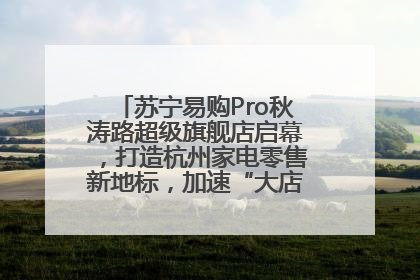 苏宁易购Pro秋涛路超级旗舰店启幕，打造杭州家电零售新地标，加速“大店攻略”全省布局