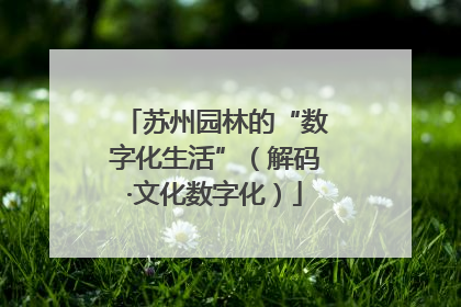 苏州园林的“数字化生活”（解码·文化数字化）