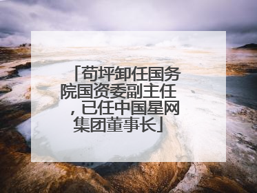 苟坪卸任国务院国资委副主任，已任中国星网集团董事长