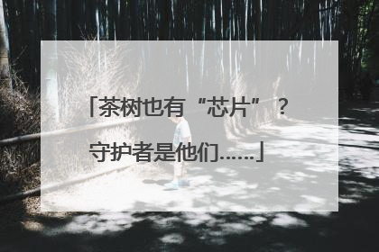 茶树也有“芯片”？守护者是他们……