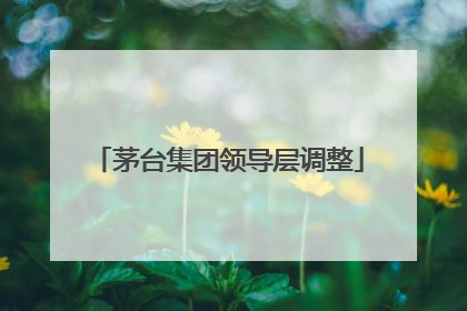 茅台集团领导层调整