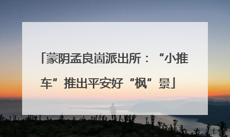 蒙阴孟良崮派出所：“小推车”推出平安好“枫”景