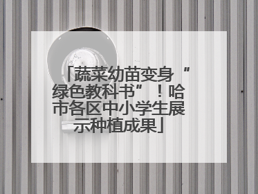 蔬菜幼苗变身“绿色教科书”！哈市各区中小学生展示种植成果