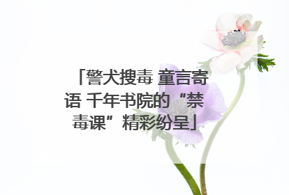 警犬搜毒 童言寄语 千年书院的“禁毒课”精彩纷呈
