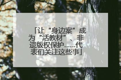 让“身边案”成为“活教材”、非遗版权保护……代表们关注这些事