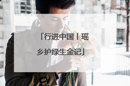 行进中国丨瑶乡护绿生金记