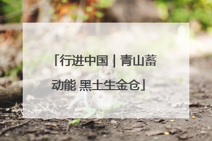 行进中国｜青山蓄动能 黑土生金仓