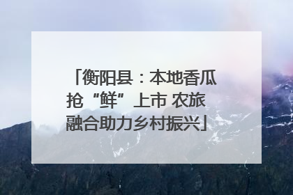 衡阳县：本地香瓜抢“鲜”上市 农旅融合助力乡村振兴